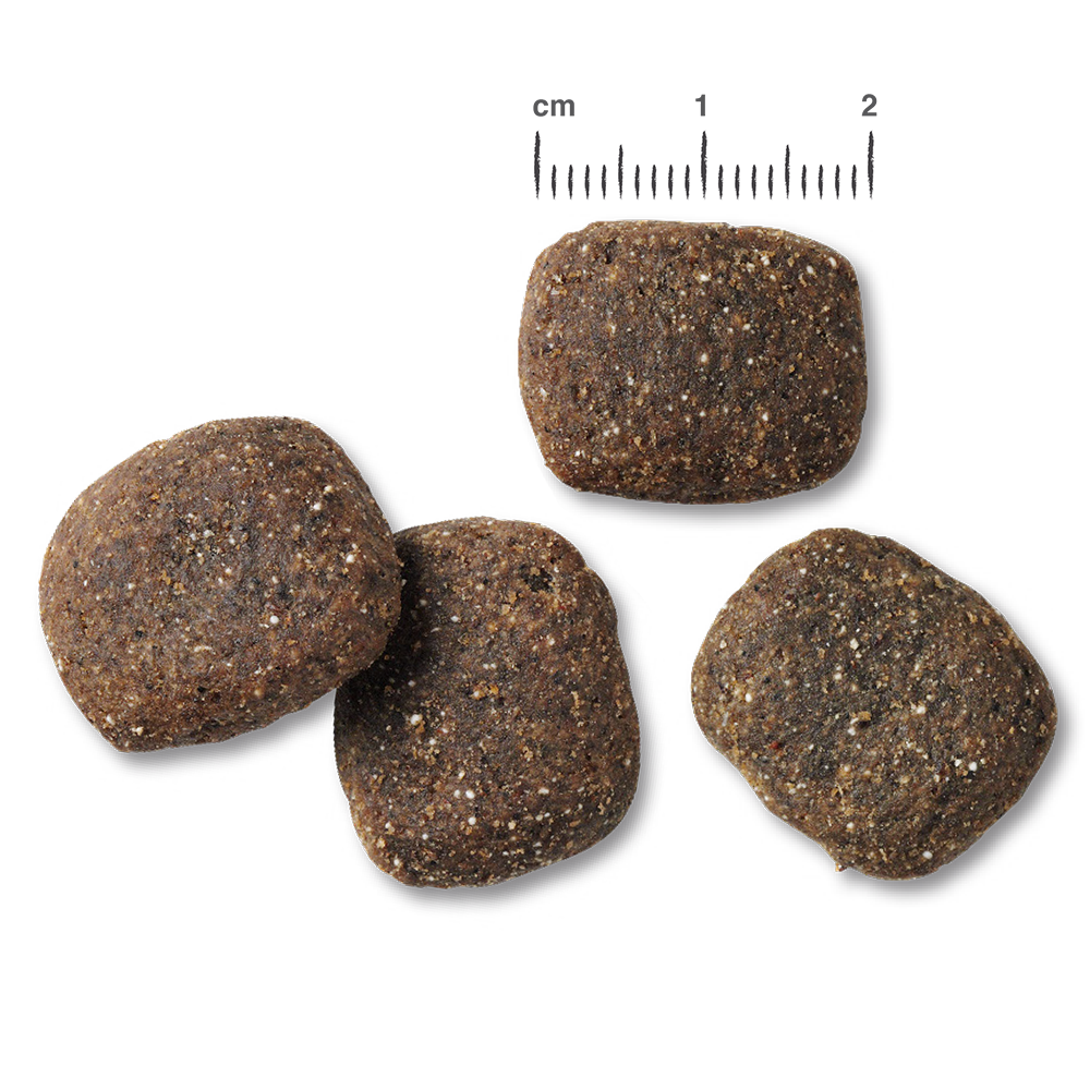 RS6142_Belcando_Kroketten_Adult_GF_Ocean